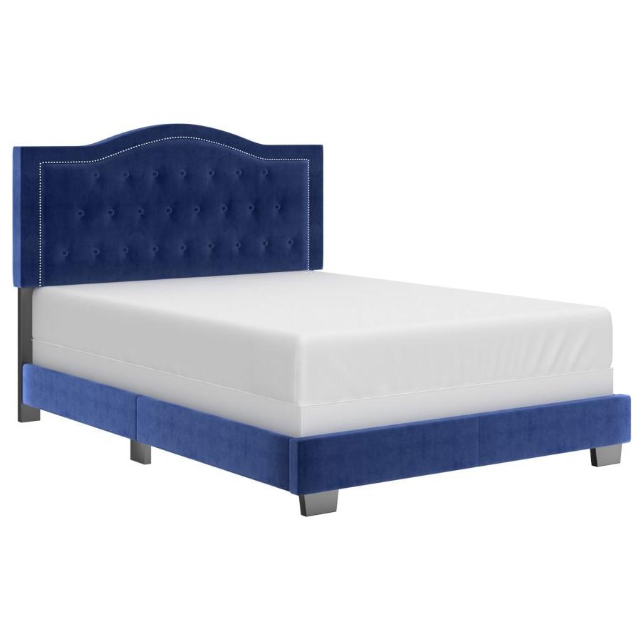 Pixie 60" Queen Bed in Blue