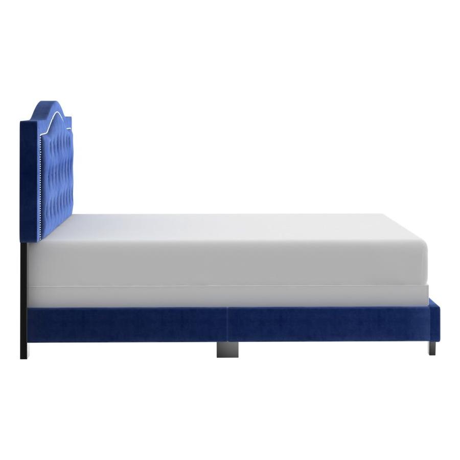 Pixie 60" Queen Bed in Blue