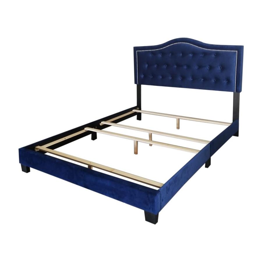 Pixie 60" Queen Bed in Blue