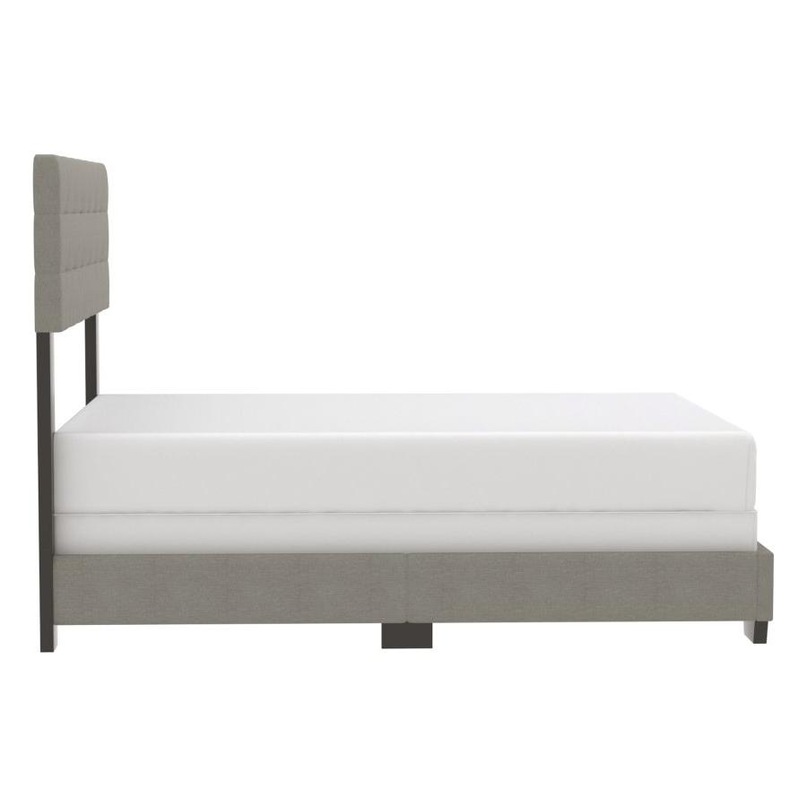 Exton 60" Queen Bed in Light Grey