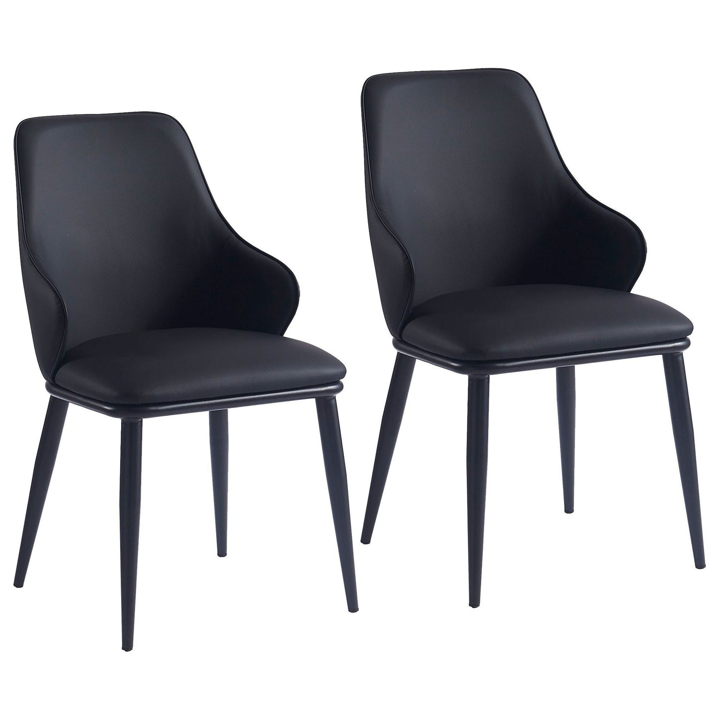 Kash Dining Chair (Set of 2)