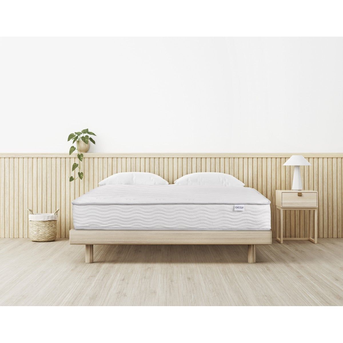 Cicely 8" Queen Mattress